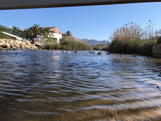 Restaurante bellamar